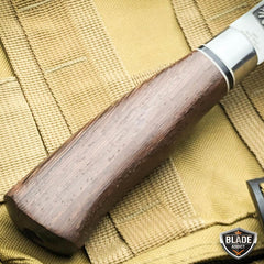 10.5'' Outdoor Fishing Fixed Blade w/ Wood Handle + Nylon Sheath - BLADE ADDICT