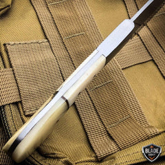 11'' GENUINE BONE HANDLE Kitchen Hunting Knife Stainless Steel Blade - BLADE ADDICT